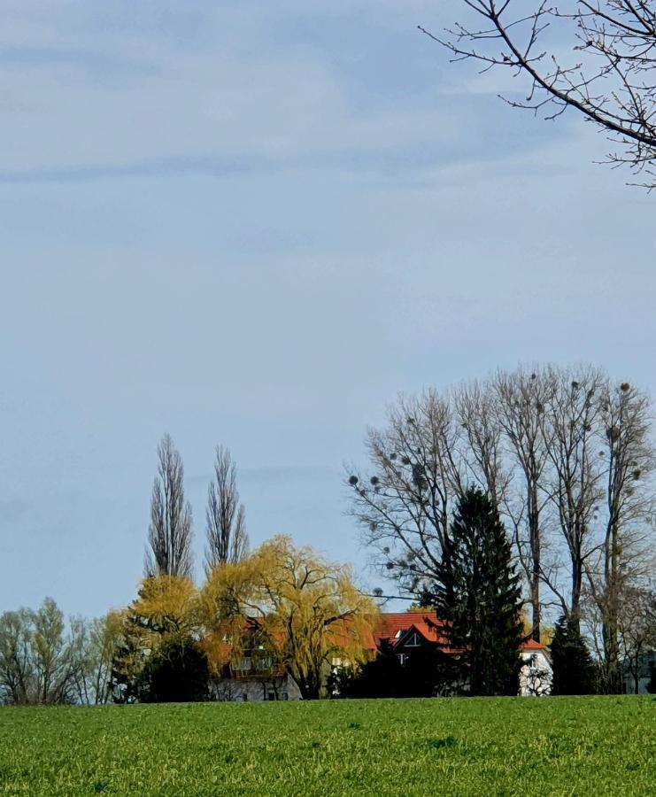 Haus Mueritz, Fewo 12 Moewe Zielow 外观 照片